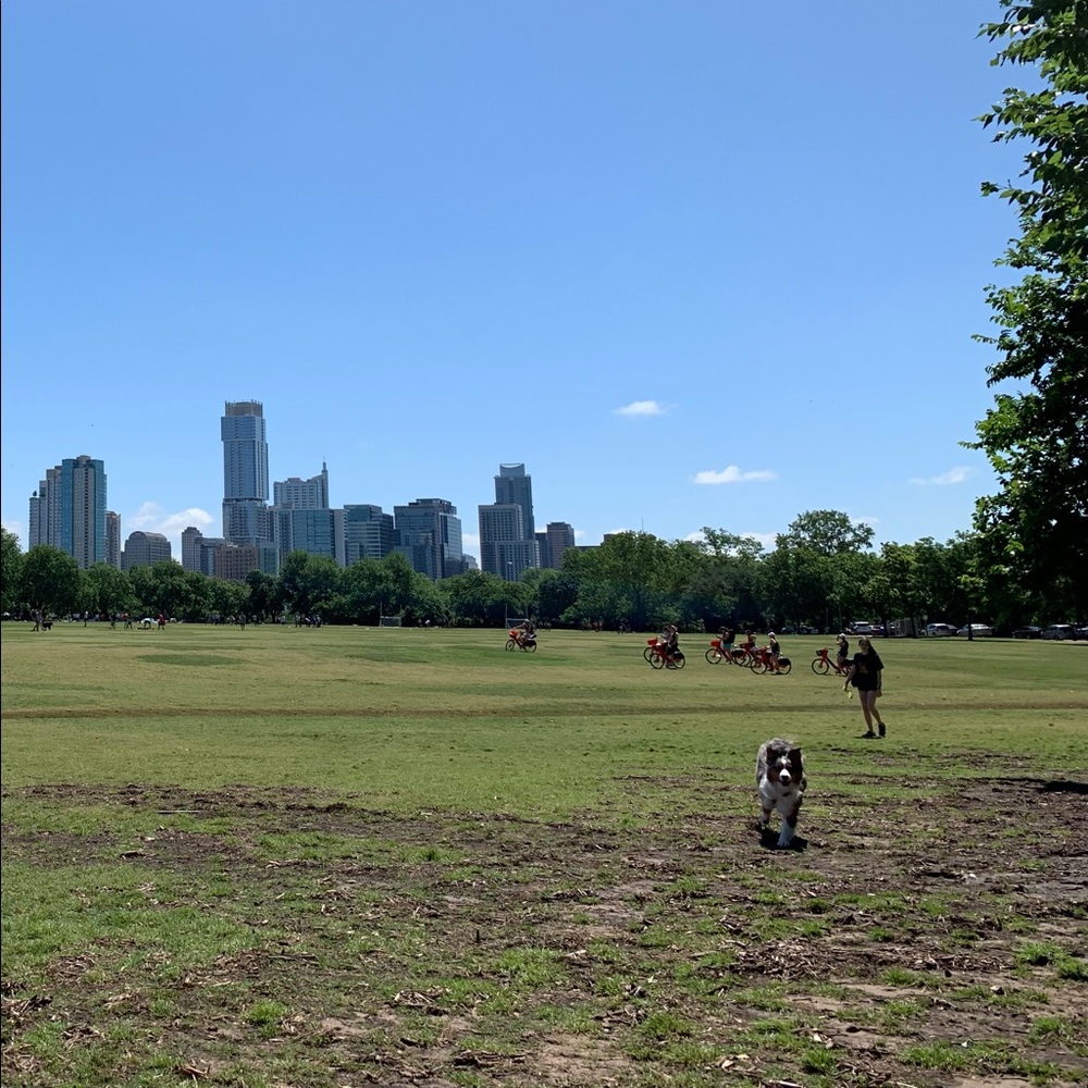 Meet your Posher, Crystal